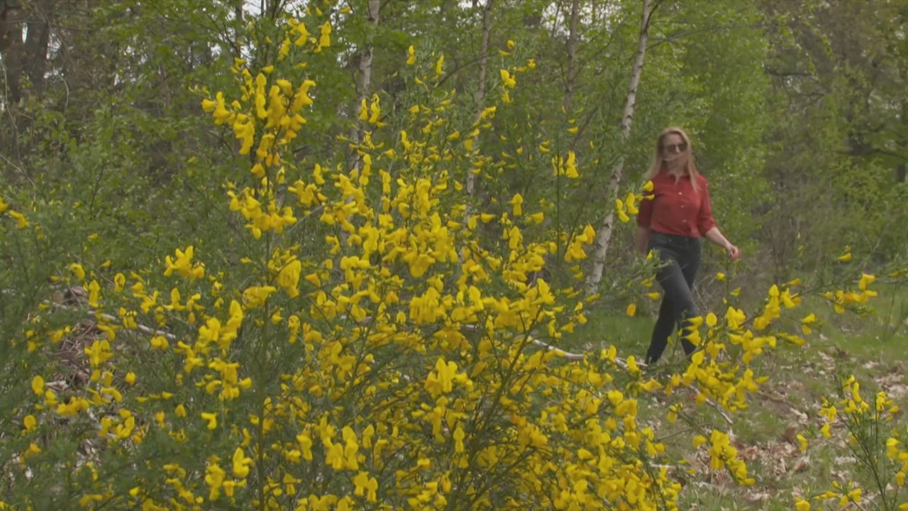 Songs of protest: Wild birds join the chorus of chants