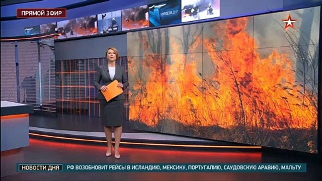 общие планы Волковой