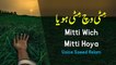 Poetry Poetry Mitti Wich Mitti Hoya By Saeed Aslam Punjabi Poetry WhatsApp Poetry TikTok status
