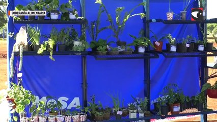 Es un sueño hecho realidad