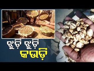 Recovery Of Pennies From Underneath A House In Nayagarh-OTV Report