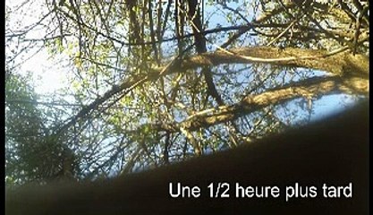 Vous n'avez pas tout vu