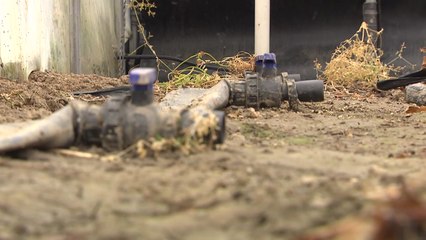 외국인 일손 가뭄에 속 타는 농어촌 / YTN