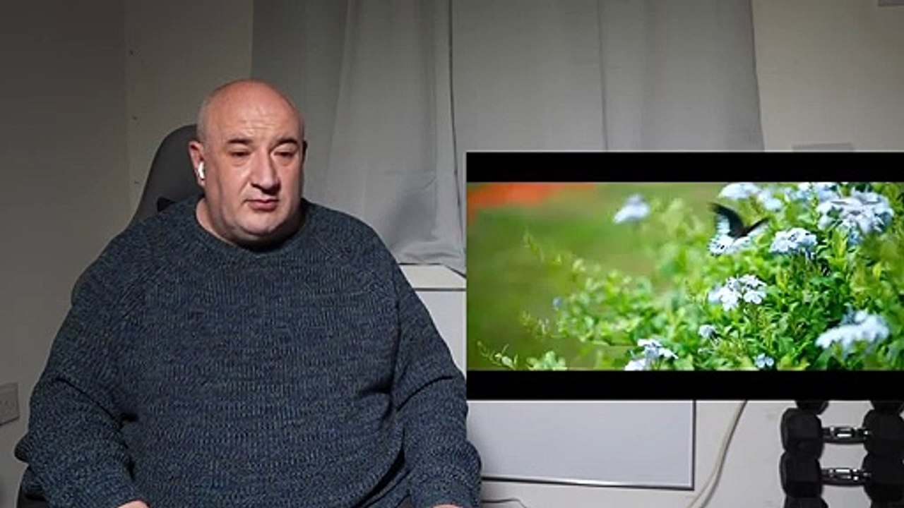 Scenic Beauty of Bengaluru during Covid19 Lockdown ¦ Bengaluru Drone View Reaction