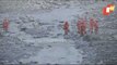 Uttarakhand Glacier Burst- Rescue Operation Underway In Tapovan Tunnel