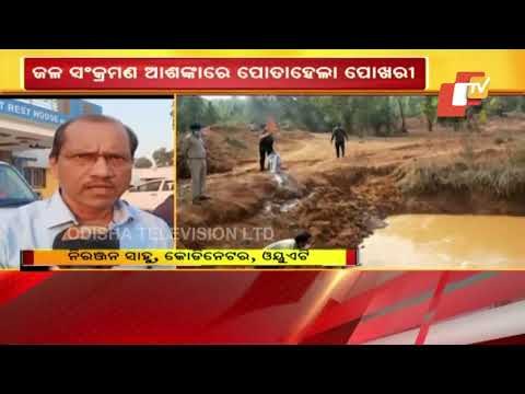 5 Elephants Die Within 13 Days In Karlapat Wildlife Sanctuary