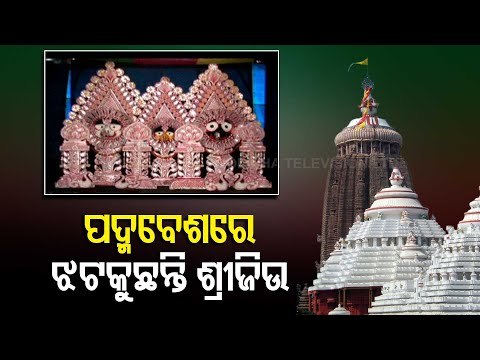 Devotees Have Darshan Of Trinity In Padma Besha In Puri Srimandir