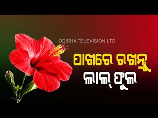 Bhagya Rekha - Know Your Horoscope For Today 15 February 2021 | OTV