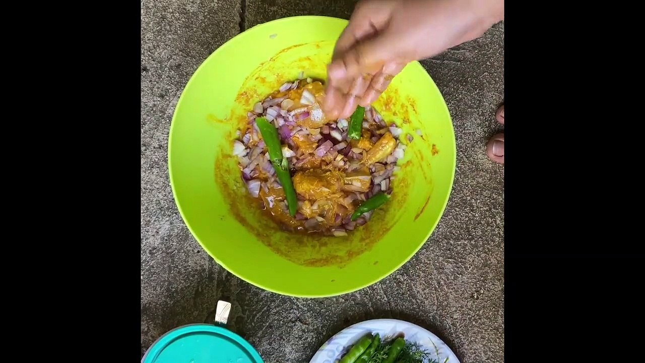 Repotting Lucky Bamboo Plants Care