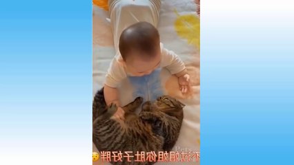 Cute Pets And Funny Animals Compilation - 53 - Pets Garden ( 720 X 1280 )