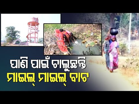 Villagers Walk Miles To Fetch Drinking Water In Balasore