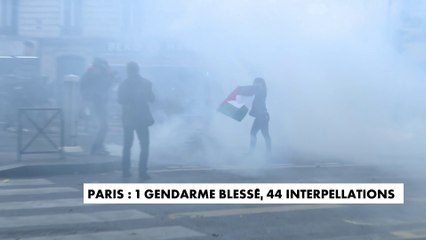 Israël-Palestine : 22.000 manifestants en France dont 2.500 à 3.500 à Paris