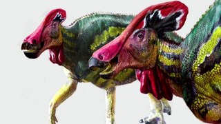New species of crested dinosaur identified in Mexico
