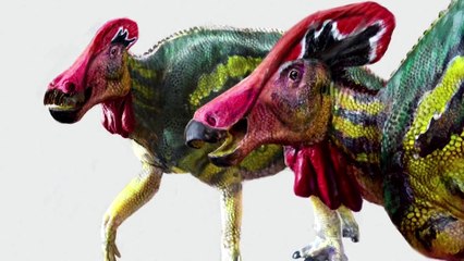 New species of crested dinosaur identified in Mexico