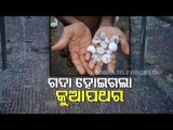 Unseasonal Rain, Hail Pummel Koraput