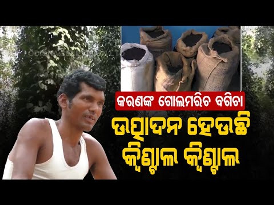 Special Story | This Odisha Village Is A Trove...