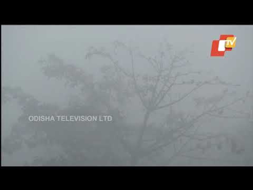 Dense Fog Envelops Delhi