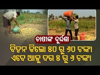 Potato Farmers In Jajpur Express Concern Over Lack Of  Govt Aid