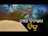 Mandi Mismanagement- Odisha Farmer Loses Life Before Paddy Procurement In Bargarh