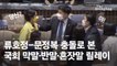 "장제원!" "왜 표창원!"…류호정·문정복이 꺼낸 국회 반말史