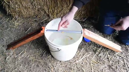 Ava giderken avlanan fareler