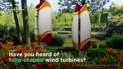 Are ‘tulip turbines’ the answer to energy eyesores?