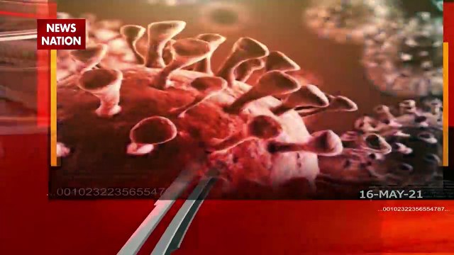 Black Fungus: स्टेरॉयड से ब्लैक फंगस का खतरा बढ़ रहा है?