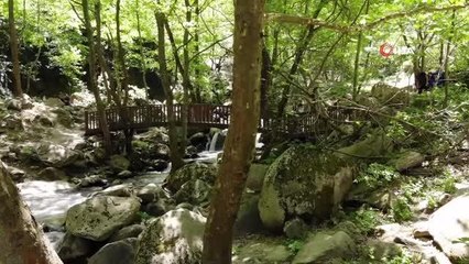 Şehir merkezine bir kilometre mesafedeki tabiat harikası yeri gören hayran kalıyor