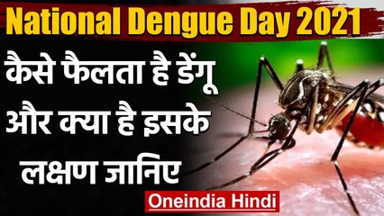 National Dengue Day 2021: Monsoon में ही फैलता है Dengue, लक्षण की कैसे करें पहचान | वनइंडिया हिंदी