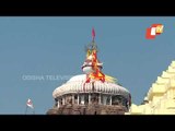Puri | Lord Jagannath To Adorn Gaja Uddharana Besha On Magha Purnima Today