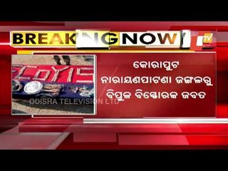 Huge Cache Of Explosives Seized From Forest In Koraput