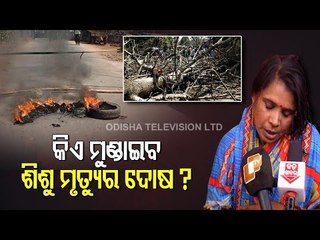 Child Killed, Two Injured After Tree Falls On A Family During Felling