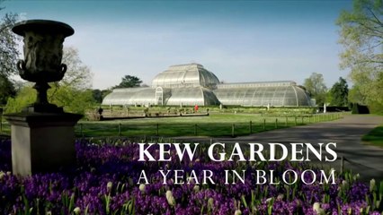 Kew.Gardens.A.Year.in.Bloom.S01E01 - video Dailymotion