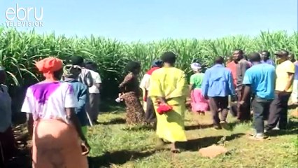 The Country Is Still Reeling From The KCSE 2020 Results