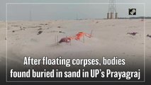 After floating corpses, bodies found buried in sand in UP’s Prayagraj