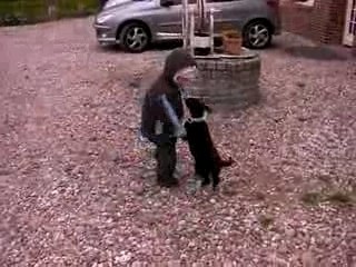 ESTEBAN JOUE AVEC CANELLE LA JEUNE CHIENNE