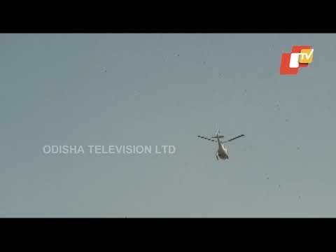Flower Petals Showered On Sadhus During Shahi Snan In Mathura