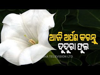 Bhagya Rekha - Know Your Horoscope For Today 1 March 2021 | OTV