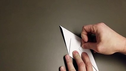 Origami Crane - How To Make The Paper Crane - Only Folding