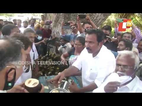 Congress Leader Rahul Gandhi Eats Palmyra Fruit In Tamil Nadu