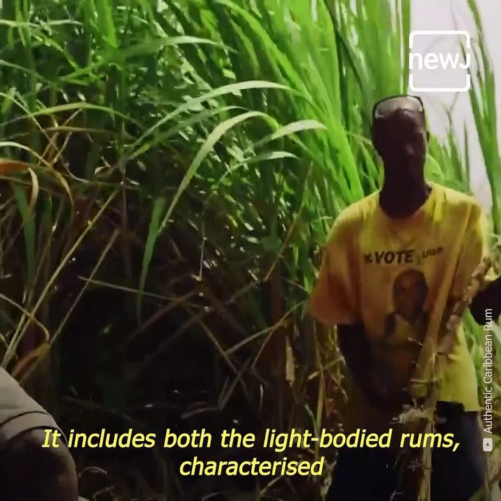 Explained The Origin And History Of Rum video Dailymotion