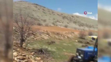 Ölmek üzereyken bulduğu yavru tavşanı besleyip doğaya bıraktı