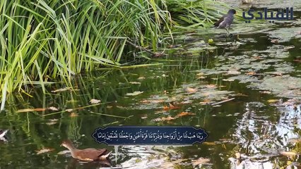 دعاء اليوم الـ 27 من رمضان