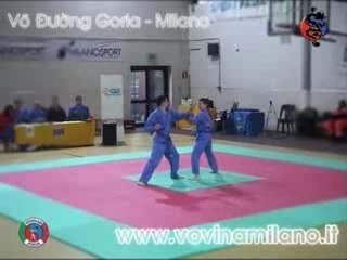 Vovinam Vo Duong Gorla Highlights, Campionato Italiano 2008