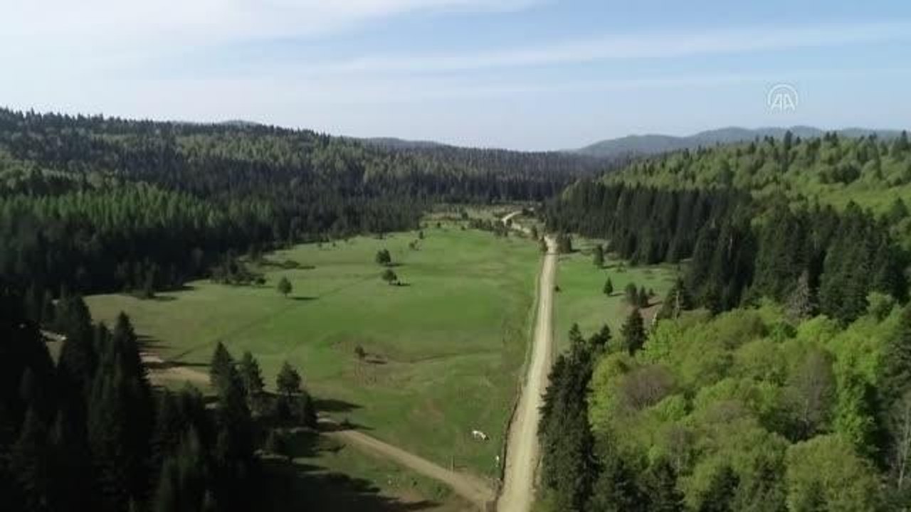 Batı Karadeniz yaylaları "tam kapanma" sonrası ziyaretçilerini bekliyor