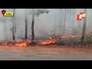 Massive Wildfire Rages In Similpal Tiger Reserve