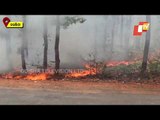Massive Wildfire Rages In Similpal Tiger Reserve