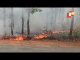 Union Min Dharmendra Pradhan Shows Concern Over Massive Fire At Similipal Forest