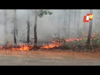 Union Min Dharmendra Pradhan Shows Concern Over Massive Fire At Similipal Forest