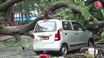 Cyclone Tauktae intensifies in Goa, triggering heavy rains